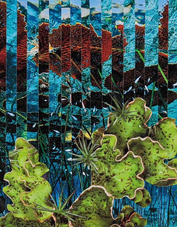 Jean-Claude CHASTAING - Original diverse art - Collage - Water Dream