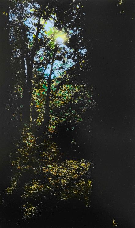 Jean Claude Chastaing - Original painting - Oil on photo - Walk in the forest m/langues/english/images/drapeau.gifale - Huile sur photo - Balade en forêt