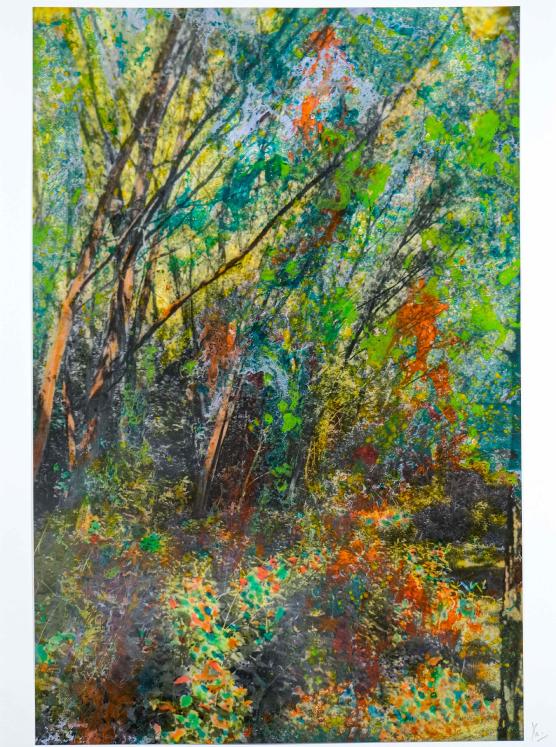 Jean Claude Chastaing - Original oil painting on photo - Walk in the forest 86
