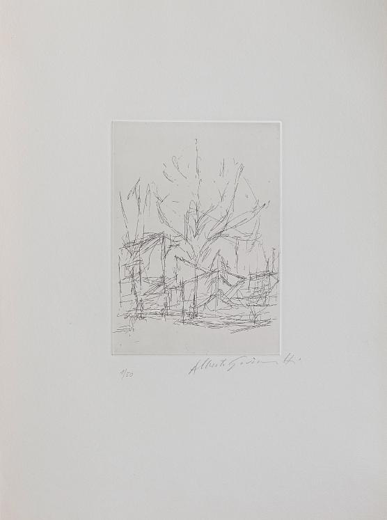Alberto GIACOMETTI - Original print - dry point - The tree 9 (Feuilles éparses)