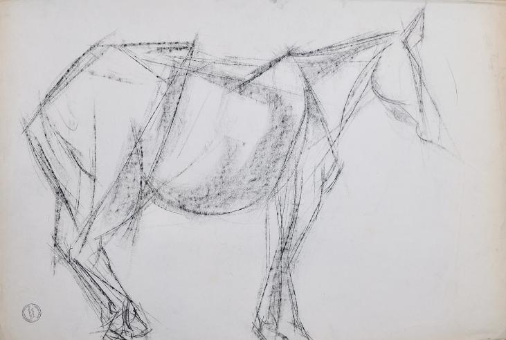 Magdalena Reinharez - Original drawing - Charcoal - Horse