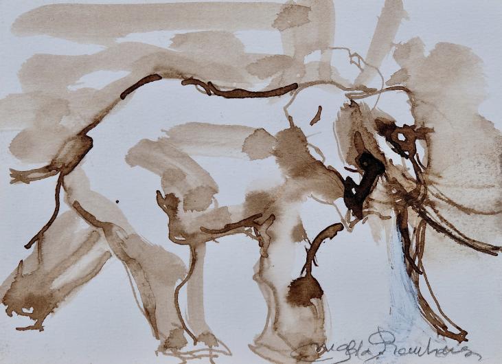 Magdalena Reinharez - Original painting - Ink wash - Elephant 4