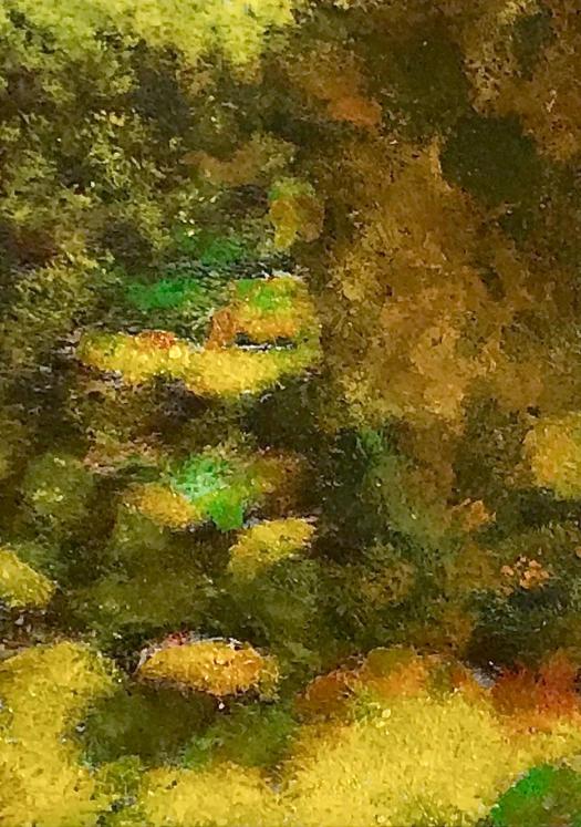 Jean Claude Chastaing - Original oil painting on photo - Undergrowth in autumn