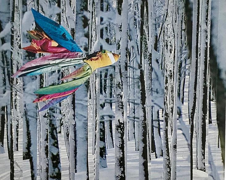 Jean Claude Chastaing - Original photo montage - Bird in the forest