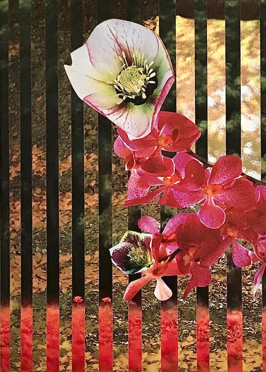 Jean Claude Chastaing - Original photo montage - Flower 1