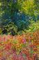 Jean Claude Chastaing - Original oil painting on photo - Walk in the forest 80