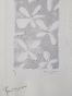 Georges BRAQUE - Original print - Lithograph - Flowers (Tir à l'Arc)