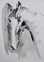 Magdalena Reinharez - Original painting - Ink wash - Horse 4