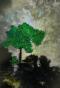 Jean Claude Chastaing - Original oil painting on photo - The Tree 1