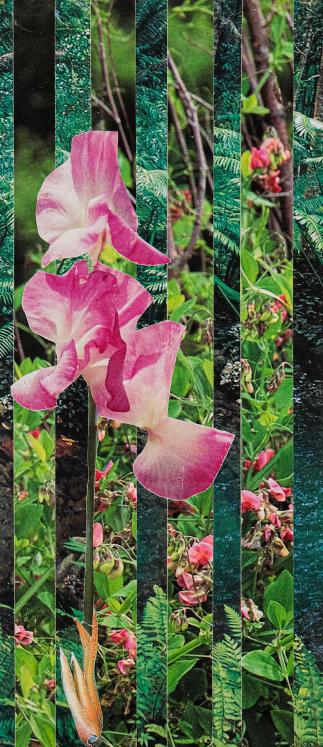 Jean-Claude CHASTAING - Art divers original - Collage - Orchidée