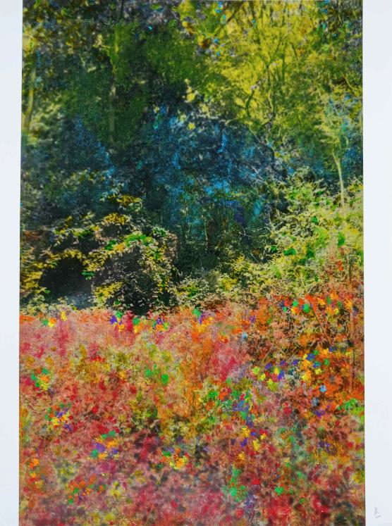 Jean Claude Chastaing - Peinture originale à huile sur photo - Balade en forêt 80