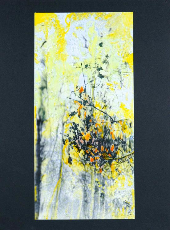 Jean Claude Chastaing - Peinture originale à huile sur photo - Balade en forêt 81