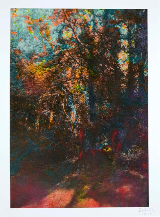Jean Claude Chastaing - Peinture originale à huile sur photo - Balade en forêt 86