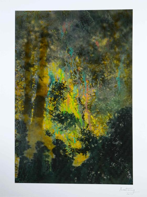 Jean Claude Chastaing - Peinture originale à huile sur photo - Balade en forêt 88
