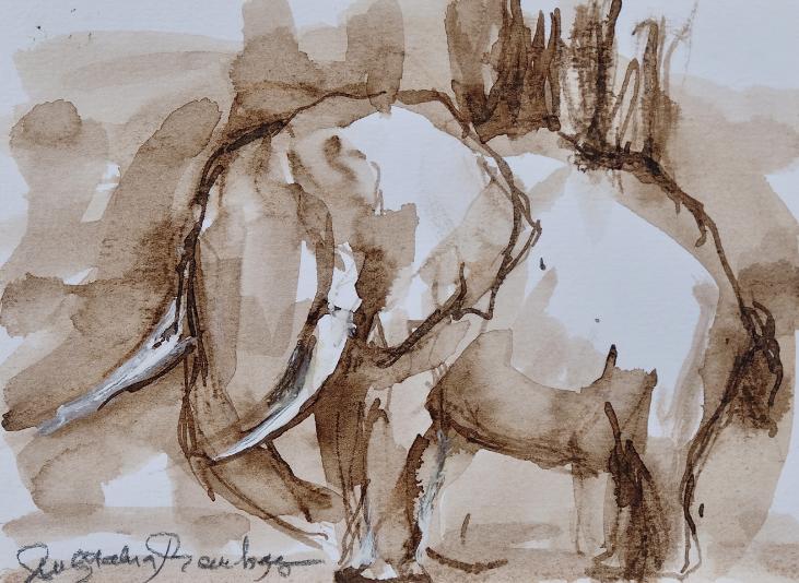 Magdalena Reinharez - Peinture originale - Lavis encre brune - Éléphant