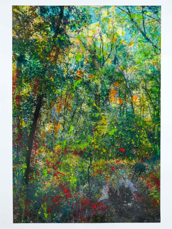 Jean Claude Chastaing - Peinture originale à huile sur photo - Balade en forêt 85