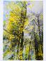 Jean Claude Chastaing - Peinture originale à huile sur photo - Balade en forêt