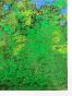 Jean Claude Chastaing - Peinture originale - Huile sur photo - Balade en forêt