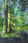 Jean Claude Chastaing - Peinture originale à huile sur photo - Balade en forêt
