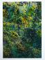 Jean Claude Chastaing - Peinture originale à huile sur photo - Balade en forêt 89