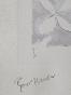 Georges BRAQUE - Estampe originale - Lithographie - Fleurs (Tir à l'Arc)