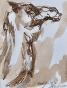 Magdalena Reinharez - Peinture originale - Lavis encre brune - Lamas