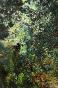 Jean Claude Chastaing - Peinture originale à huile sur photo - Balade en forêt 3