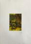 Jean Claude Chastaing - Peinture originale à huile sur photo - Sous bois en automne